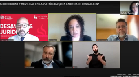 webinar once discapacidad